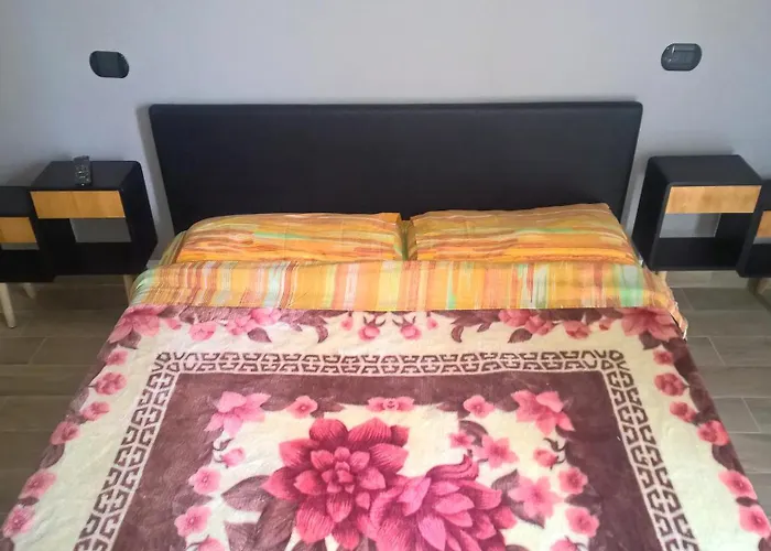 Aquarium Room Fish And Gastropods Torino